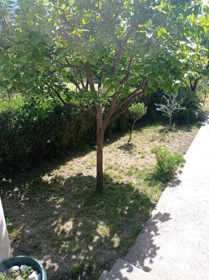 Apartment Ivan Котор Экстерьер фото